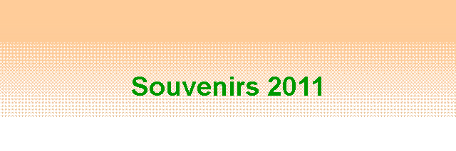Zone de Texte: Souvenirs 2011