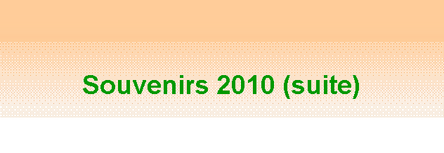 Zone de Texte: Souvenirs 2010 (suite)