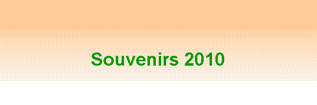 Zone de Texte: Souvenirs 2010